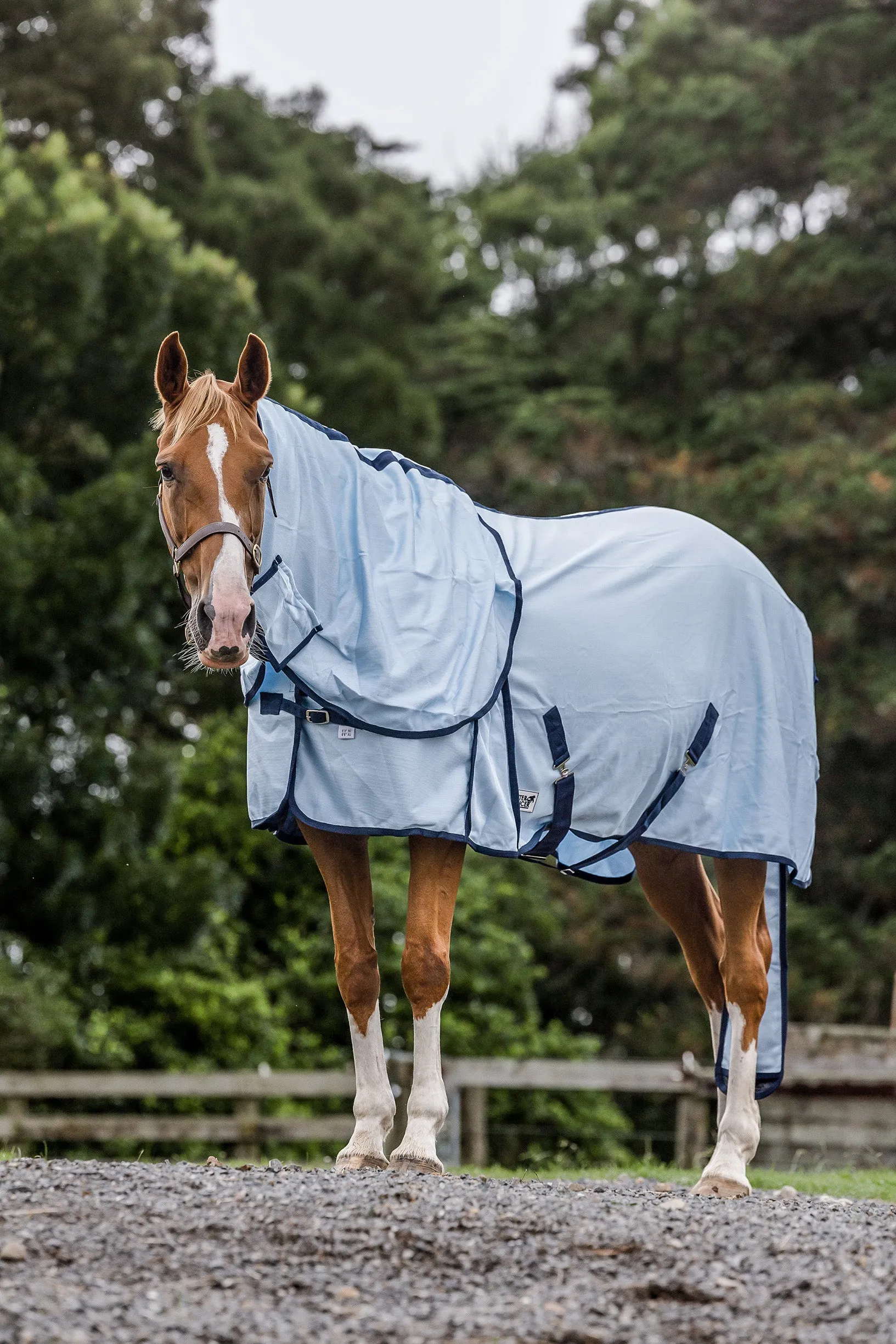 2024 Baby Blue Mesh Detachable with Tail Bag